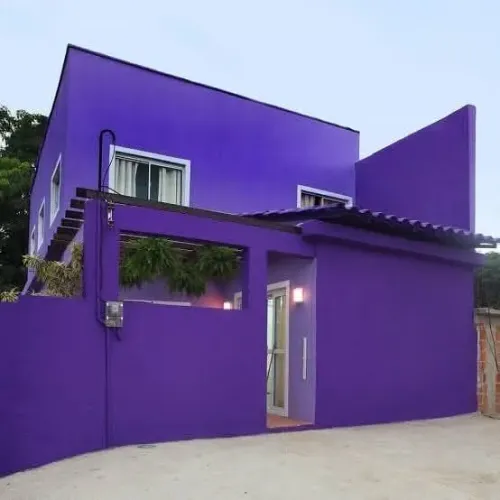 Pintor profissional 