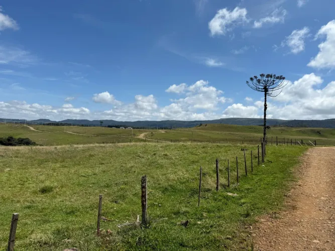 Terreno com ótimo acesso, energia elétrica instalada e desconto de 15% à vista