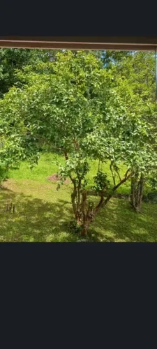 Chácara 1000m² 4 Dormitórios 1 Suíte - Taicupeba - Mogi das Cruzes