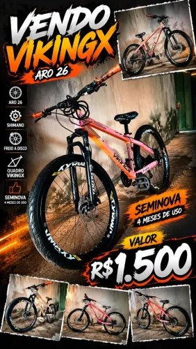 Bicicleta vikingX