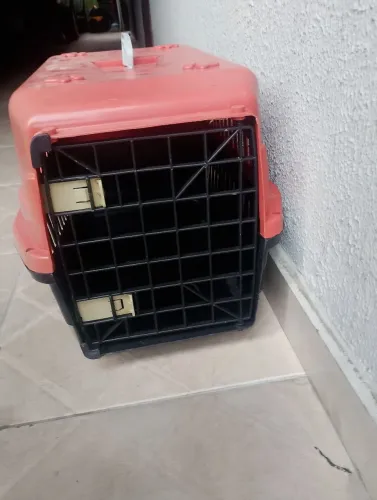 Caixa transporte de Pet