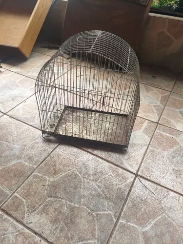 Gaiola Simples