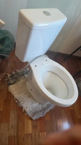 Vaso Sanitário com caixa de descarga acoplada