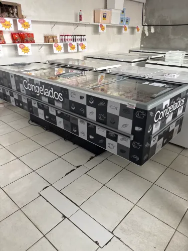 Fricon Ilha freezer para congelados (07 meses de uso)