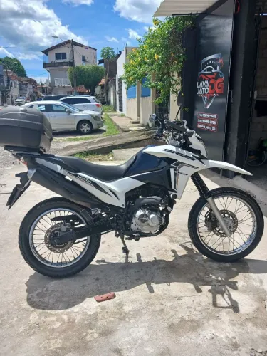 Bross único dono