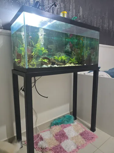 Aquário Água Doce 200 Litros