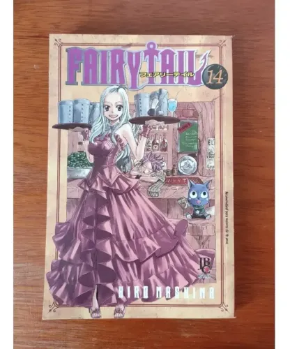 Fairy Tail 14