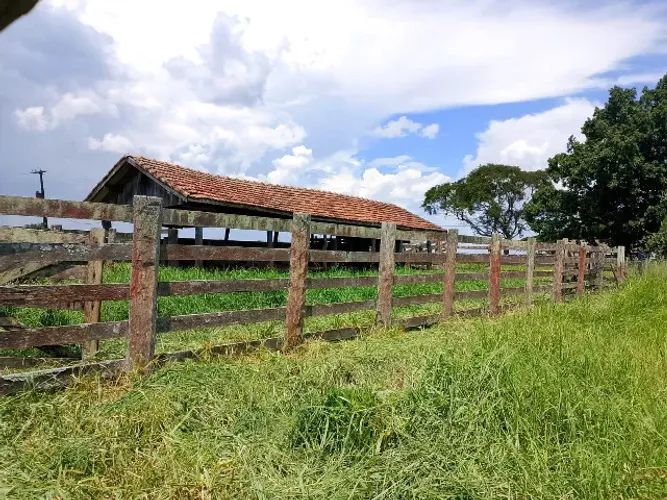 Curral para gado madeira de lei, mangueira completa