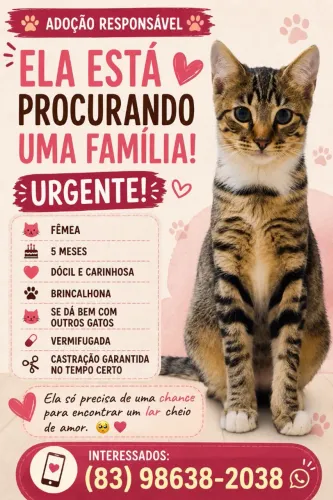 ADOÇÃO RESPONSÁVEL URGENTE