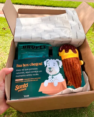 Box Santo Petisco para Cachorro | Petiscos Naturais + Brinquedo
