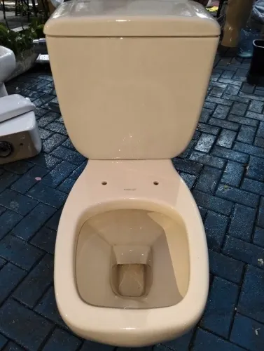 Vaso Sanitário Celite com Caixa Acoplada - Cor Marfim/Pergamon (Excelente Estado)