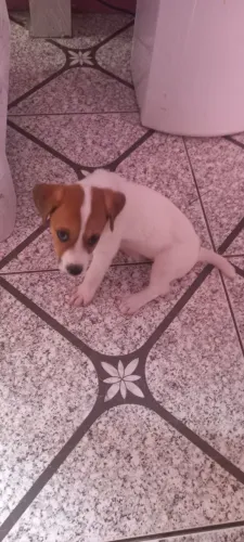 Doação 