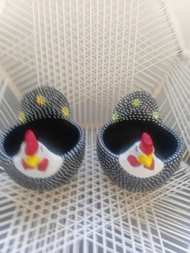 Galinhas porta ovos