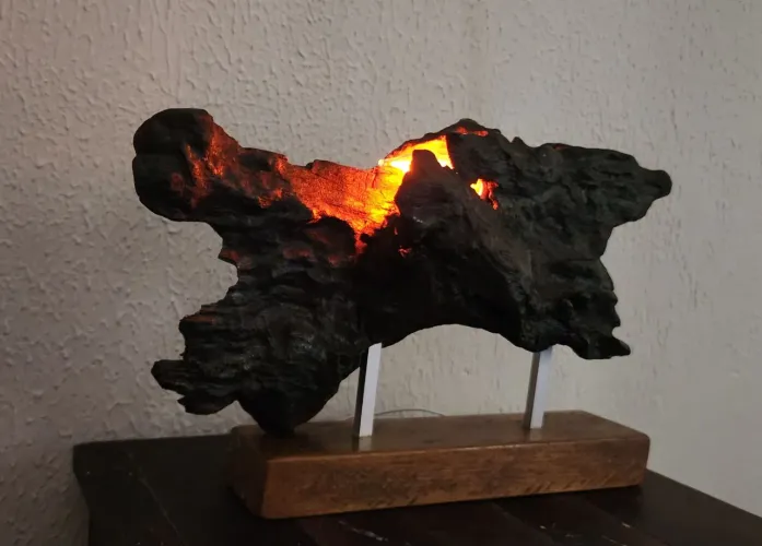 Luminaria de madeira petrificada 