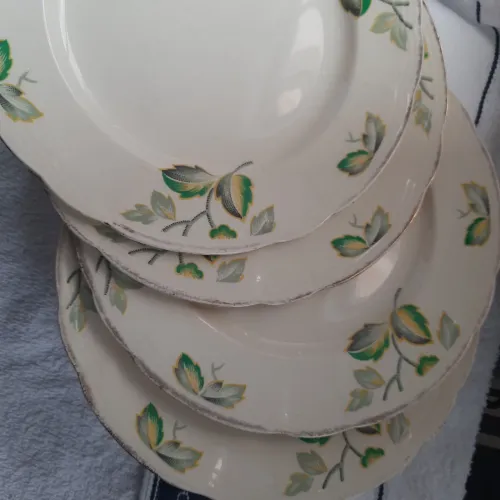 Pratos de porcelana ingles