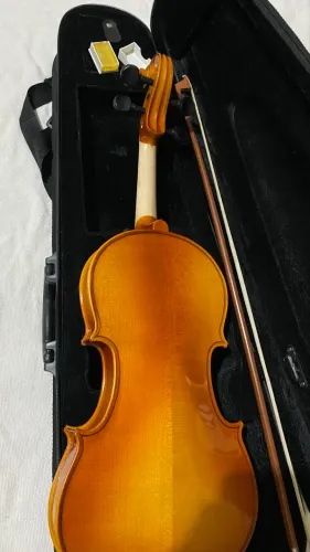 Violino Staggs 