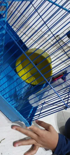 Gaiola de hamster