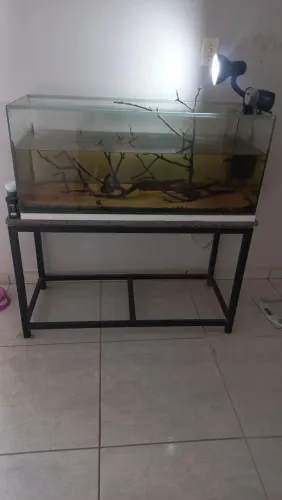 Aquário completo