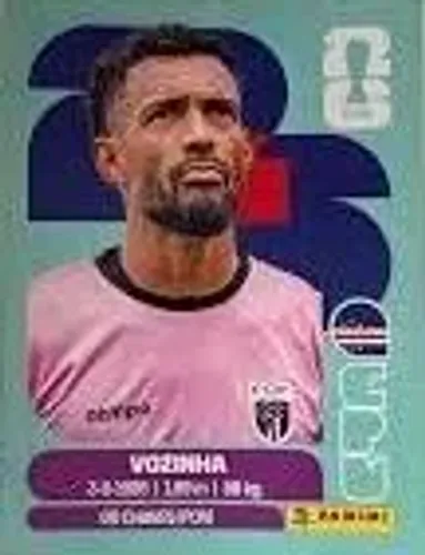 Figurinha vozinha