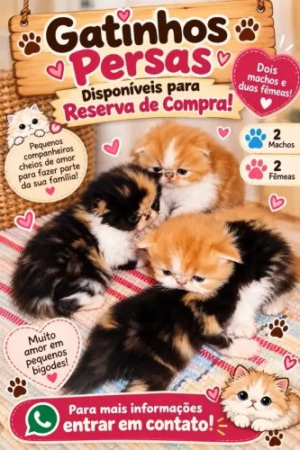 Reserva de compra de Gatinhos Persas