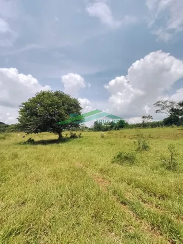 Área à Venda em Porangaba SP com 25.750 m²