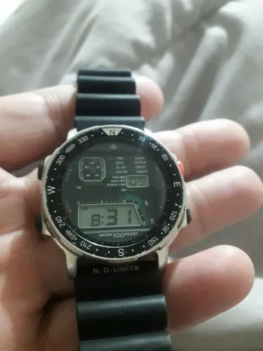 Citizen original
