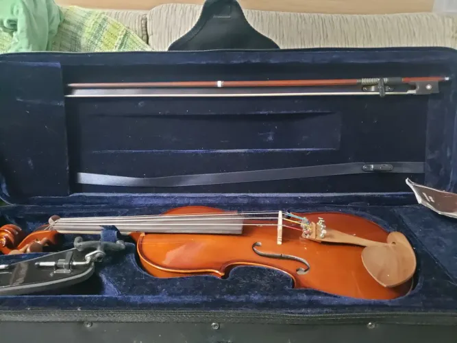 Violino Eagle VE441 seminovo