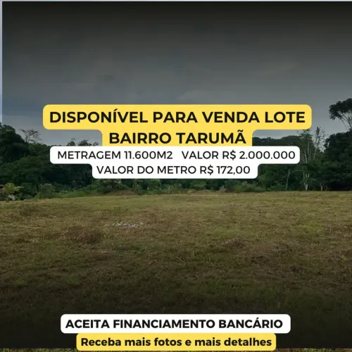 Espaço ideal para seu projeto! Terreno de 11.600m² no Tarumã.em - Manaus - AM