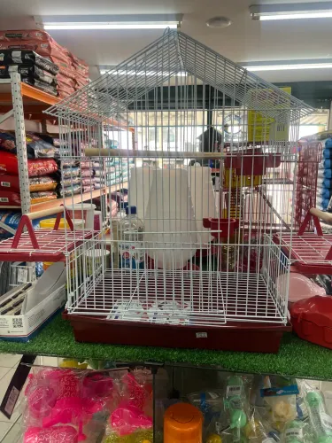 Gaiola para calopsita 