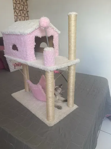 Casa arranhador p gatos de dois andar