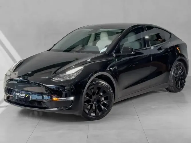 Tesla Model Y Performance 2021