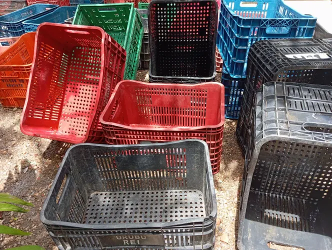 Caixa plástica hortifruti usada 