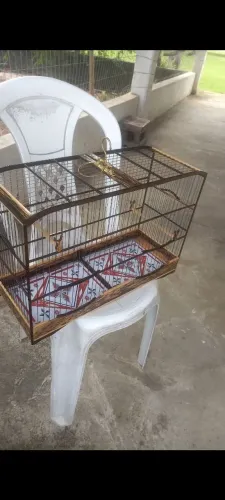 Vendo essa gaiola de aço inox 