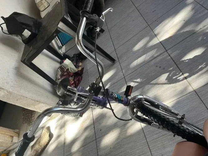 Bicicleta
