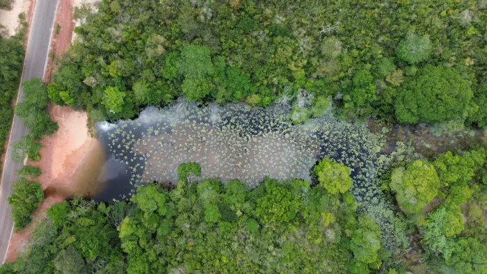 *14,5 Hectares em Morros-MA a 3km do Centro, Asfalto na Porta e 2 Nascentes*