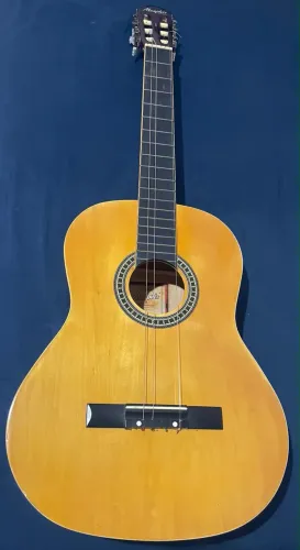 VENDO VIOLÃO
