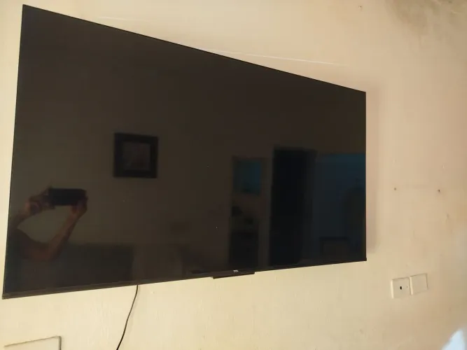 Sobre uma tv que está com a placa queimada