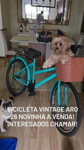 Bicicleta vintage nova aro 26