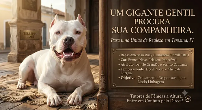 Procuro uma namorada 