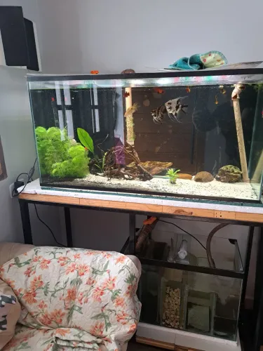 Aquario 200 litros