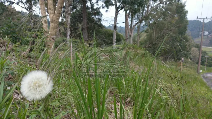 Lote em Condomínio Fechado para Venda em Rancho Queimado, SANTA IZABEL