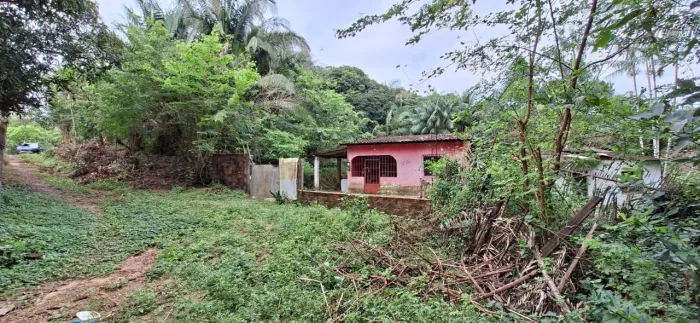 Venda