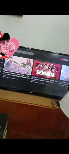Retirar Jardim mirim vendo tv 32 polegadas tá uma lista nela tv boa mostro video