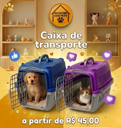 Caixa de transporte número 1