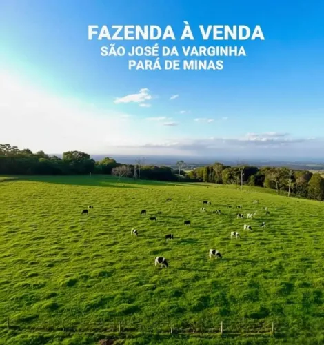 Fazenda 53ha Riquíssima em Água, Vista Incrível, 2km do Asfalto, Terra Vermelha