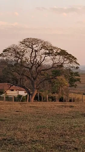 Chácara Dona Terra em Porangaba/SP ? Imóvel com Área Gourmet, Piscina e Pasto