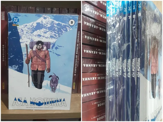 Coleção Hq Completa Asa Noturna 1 ao 9 por Tom Taylor DC Panini