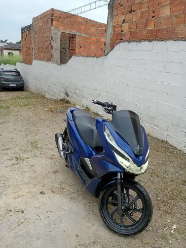  * meu zap