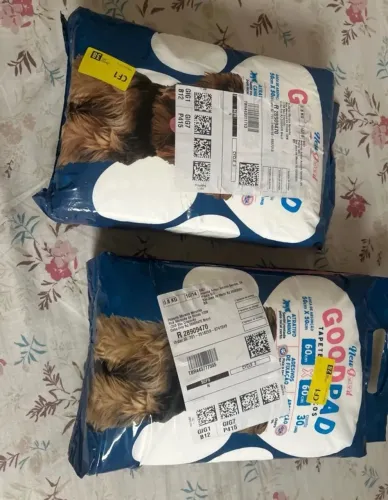 Tapete higiênico