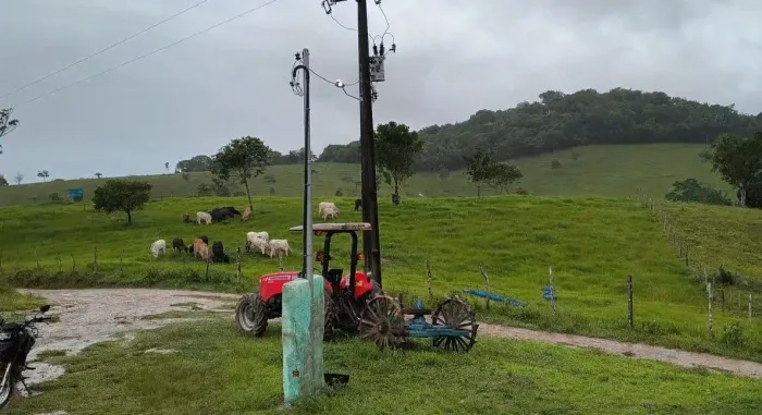 Fazenda com 150 tarefas